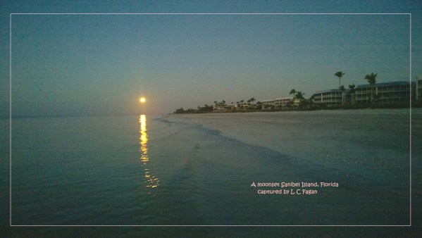 A 1 Inseason 2 2.8.20